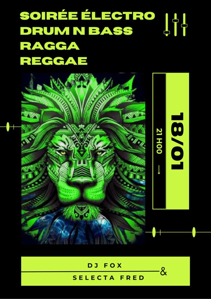 Electro Vs Reggae :: Dj'Fox Vs Selecta Fred